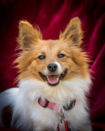 Foster Brandi-3398