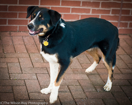 Foster Cady-9887