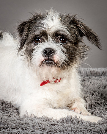 Foster Leeza-2628