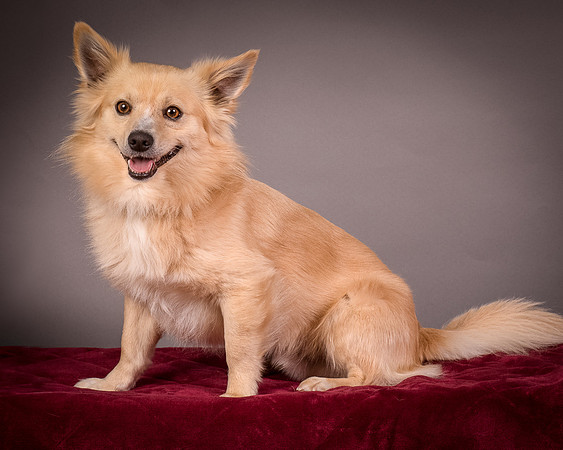 Foster Sergio-8109