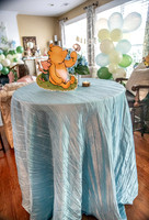 Heathers Shower-5643