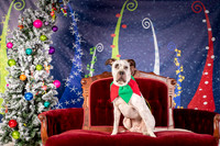 Foster Sylvester-0933
