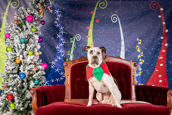 Foster Sylvester-0933