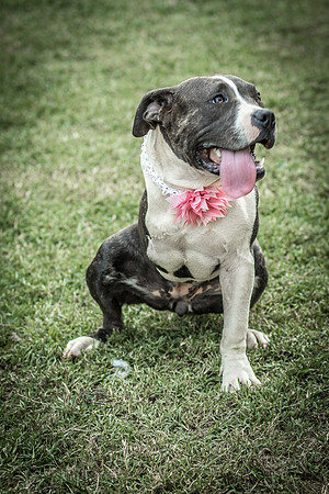Foster Maya-0320