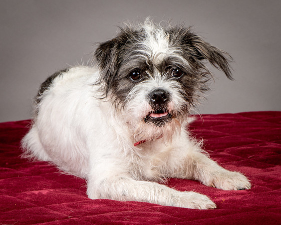 Foster Leeza-2776