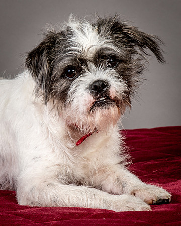Foster Leeza-2718