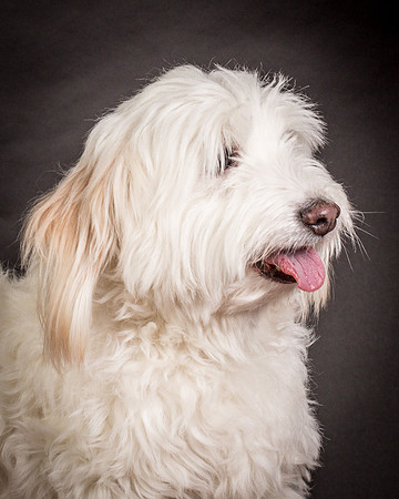 Foster Frosty-0572