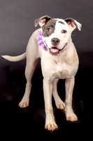 Foster Lana-1901