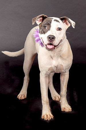 Foster Lana-1901