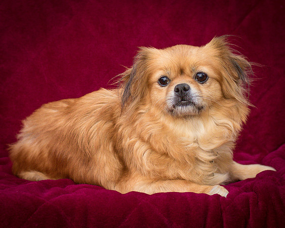 Foster Tia Maria-7937
