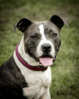 Foster Maya-0243