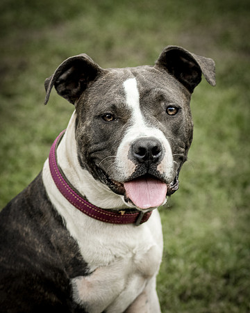 Foster Maya-0243