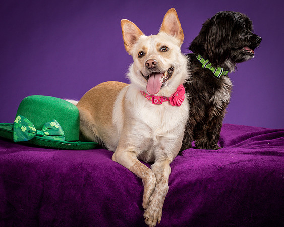 Henry and Maggie-1226