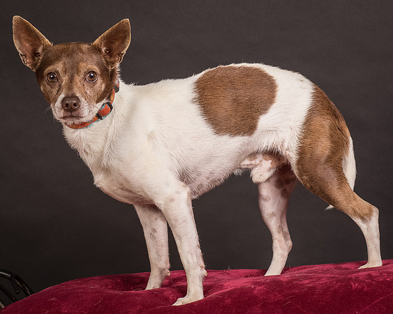 Foster Gus-0397