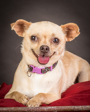 Foster Brielle-0058
