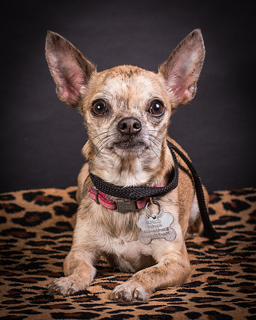 Foster Selina-1207