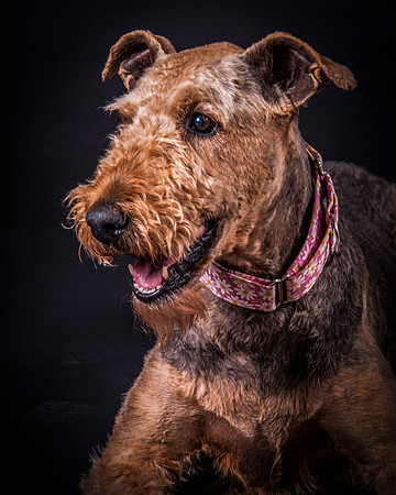 Sammie-4965