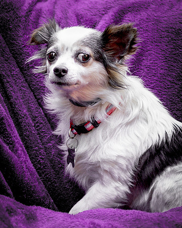 Foster Anouk-8816