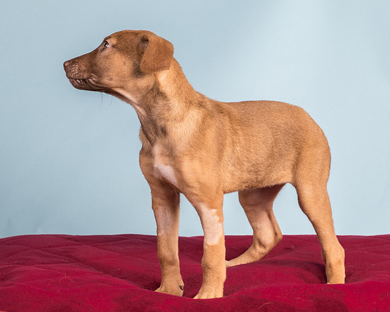 Foster Bronwyn-8384