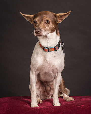 Foster Gus-0341