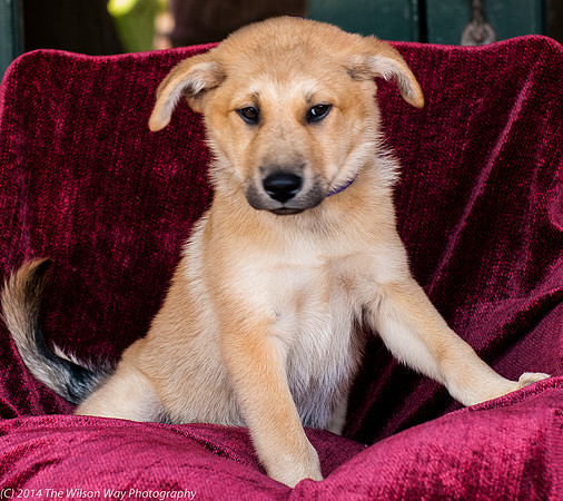 Foster Luca-9036