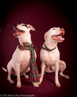 Merci and Elwood Robinson-4354