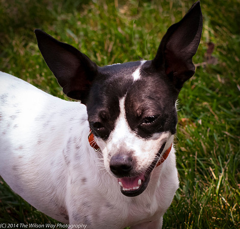 Foster Melia-9845
