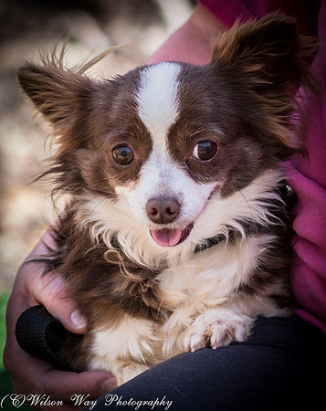 Foster Chico-4812