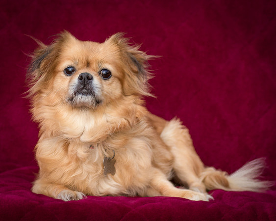 Foster Tia Maria-7925