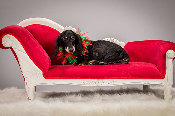 Foster Bernice-3756