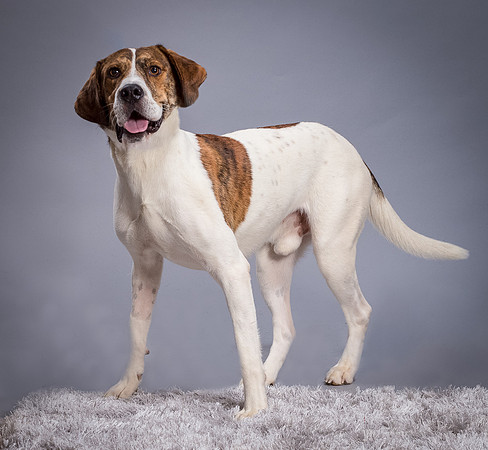 Foster Daniel-6352