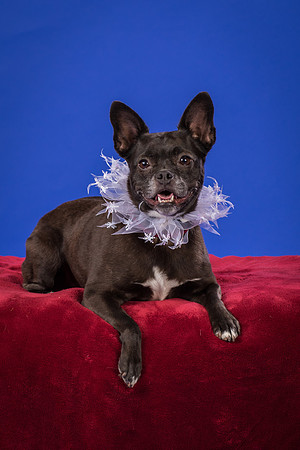 Slattery-Bella-0002