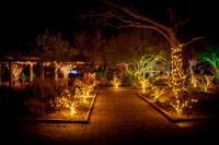 Christmas-0851