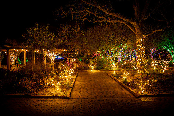 Christmas-0851