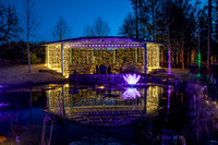 Christmas-8141