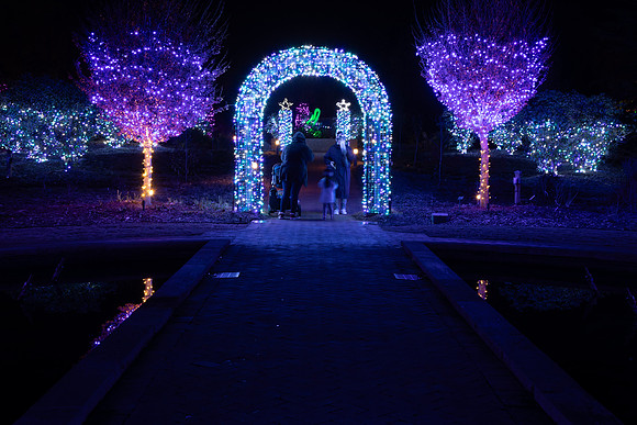 Christmas-8362