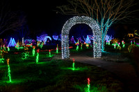 Christmas-8319