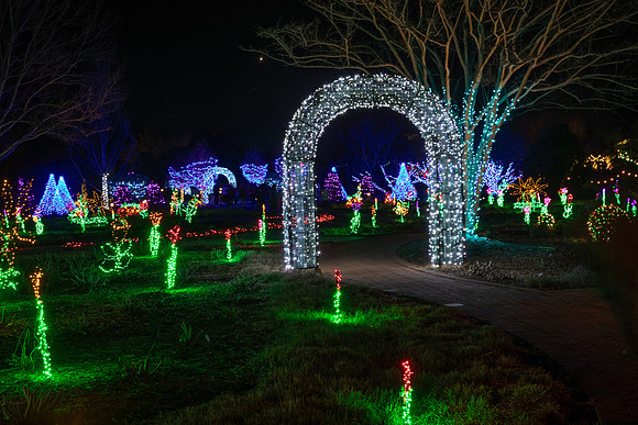 Christmas-8319