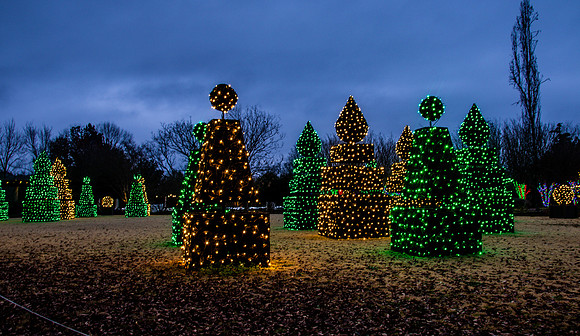 Christmas-9585