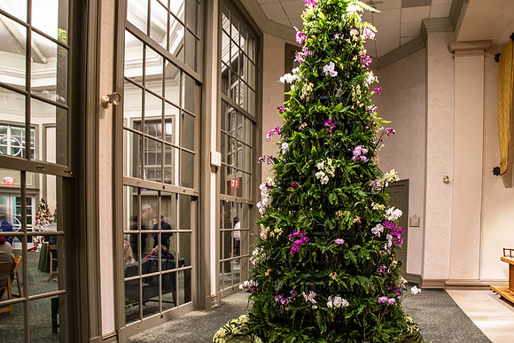 Christmas-8436