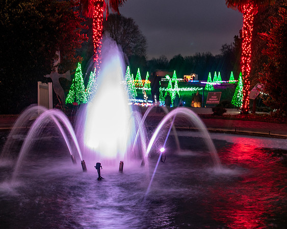 Christmas-9666