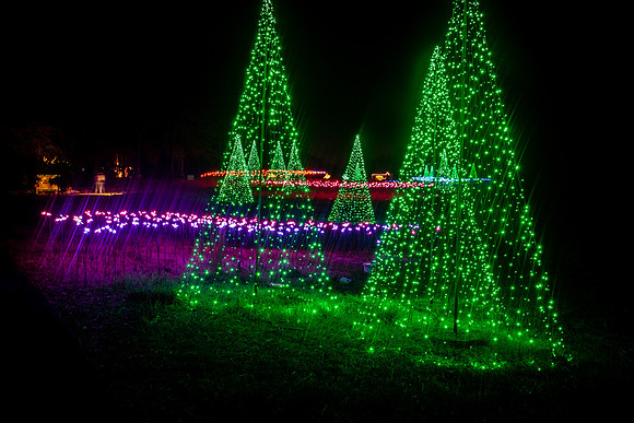 Christmas-9709