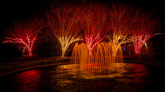 Christmas-9734