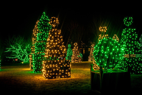 Christmas-9845
