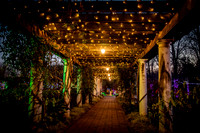 Christmas-0639