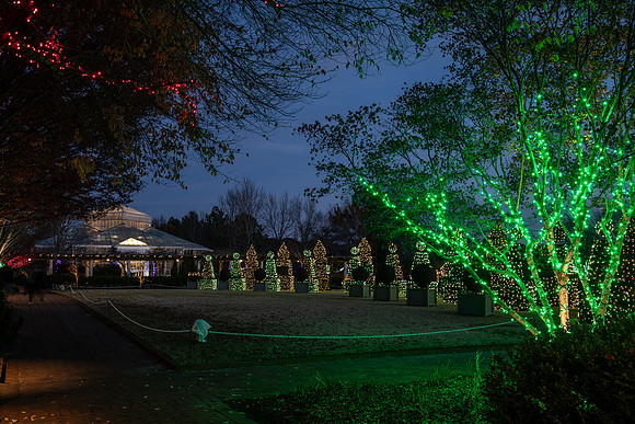 Christmas-0642
