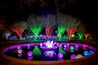 Christmas-0783