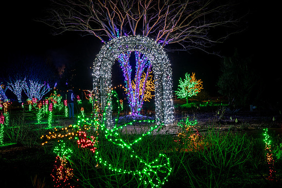 Christmas-0791