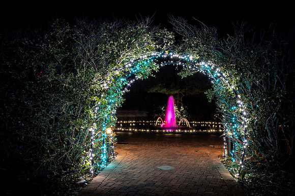 Christmas-0825