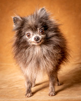 Foster Loretta-1251
